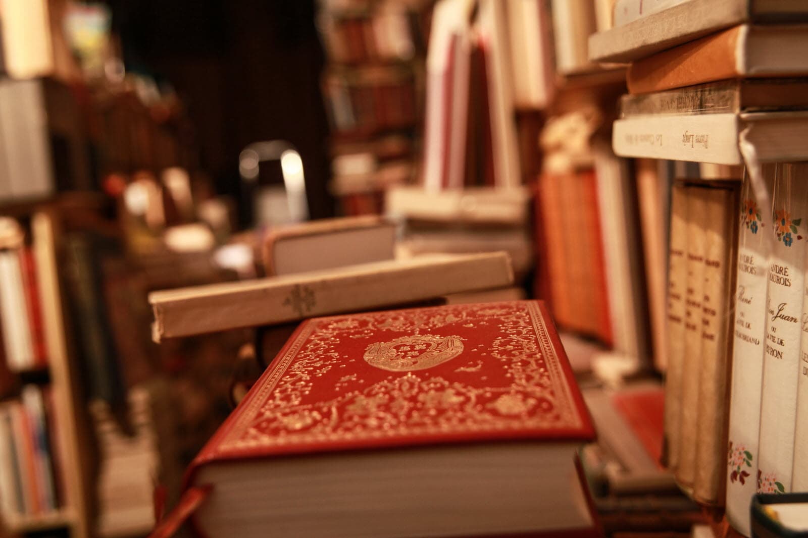 Une vieille bibliothèque deux livres, une révélation